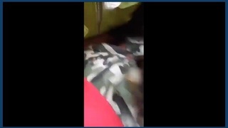 Outdoor sex in the jungle with a lover