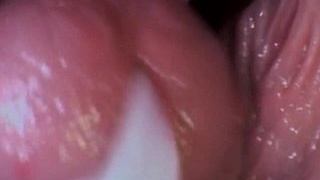 Increased chewing output in a submissive dominant vagina