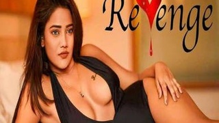 Watch the latest Hindi web series on NetPrime for a steamy revenge plot