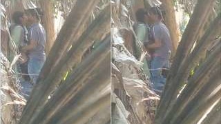 Desi couple enjoys outdoor sex in part 4 of MMS series