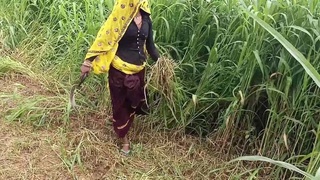 Outdoor sex video of a hillbilly bhabhi in HD quality