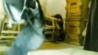 Watch as a stunning bhabhi rides and gets intimate with her office boss