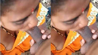 Randi Bhabhi indulges in outdoor blowjobs