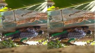 Desi lover gets fucked in the open air in exclusive video