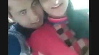 Desi couple's romantic outdoor adventure in a video tagged 