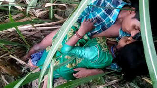 Desi couple enjoys outdoor sex in village